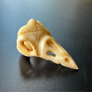 Raven skull ring by TalismanaDesigns on Etsy.